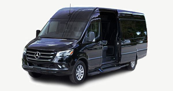 14 Passenger Party Bus Limo
