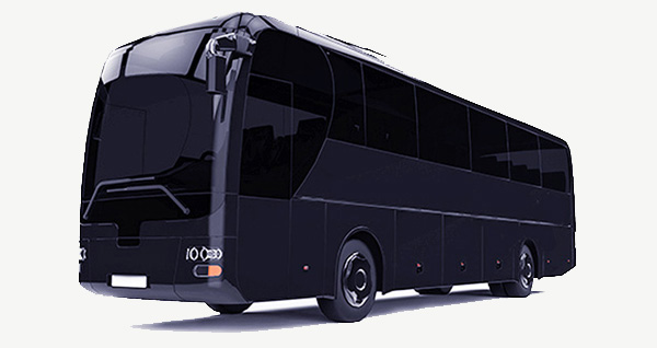 45 Passenger Limousine Bus