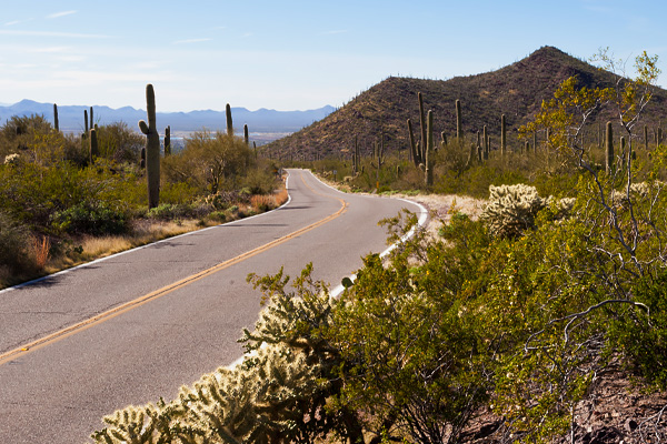 Arizona Road to High Country