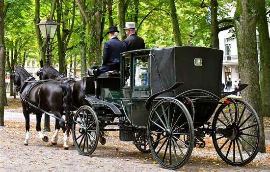 Horse-drawn Carriage Limousine